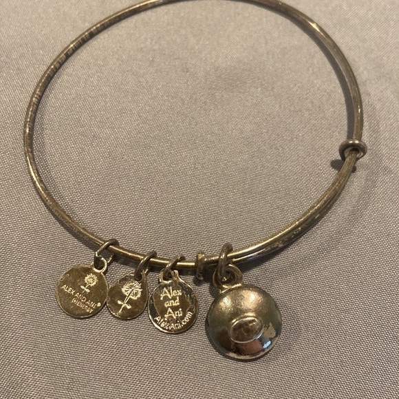 Alex and Ani February Birthstone Charm Bangle, Amethyst - Picture 3 of 3